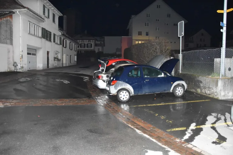 Flums SG - Zwei Autos abgebrannt - Brandstiftung wird vermutet!