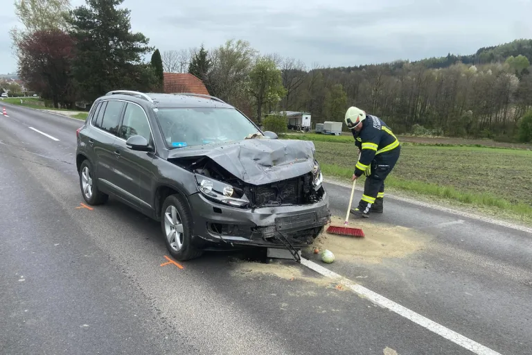 Bezirk Eferding – Bremsung für Entenfamilie endete mit Auffahrunfall
