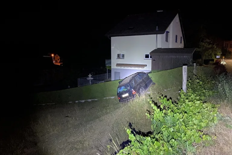 Thayngen SH - Kuhweide mit Auto durchquert
