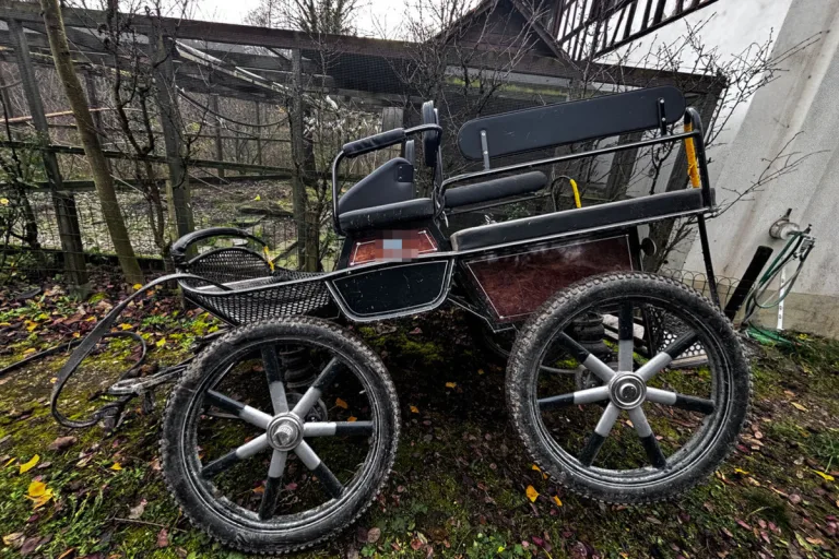 Amlikon-Bissegg TG – Pferdekutsche gerät ausser Kontrolle 