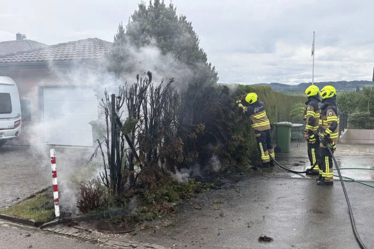Züberwangen SG – Hecke fängt beim Abflammen Feuer