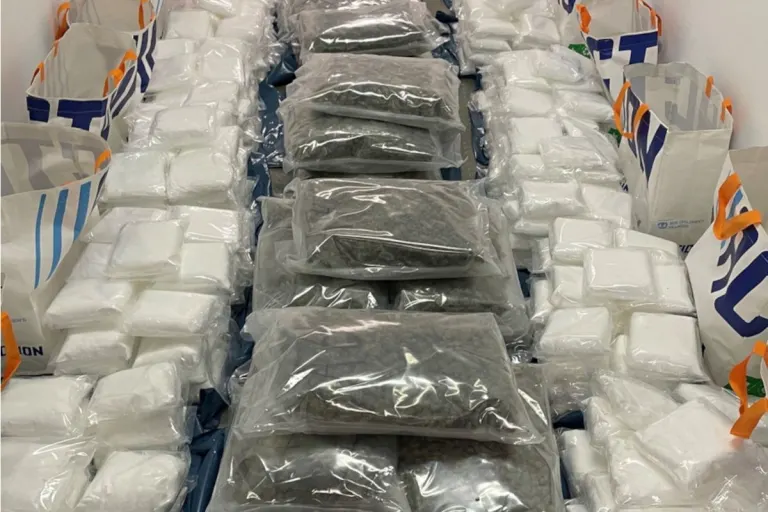 Groß-Zimmern – Polizei stellt Hunderte Kilo Drogen sicher