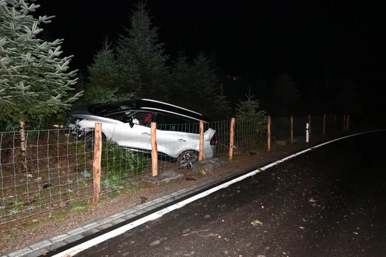 Oberuzwil SG - Fahrunfähig gegen mehrere Tannen gefahren