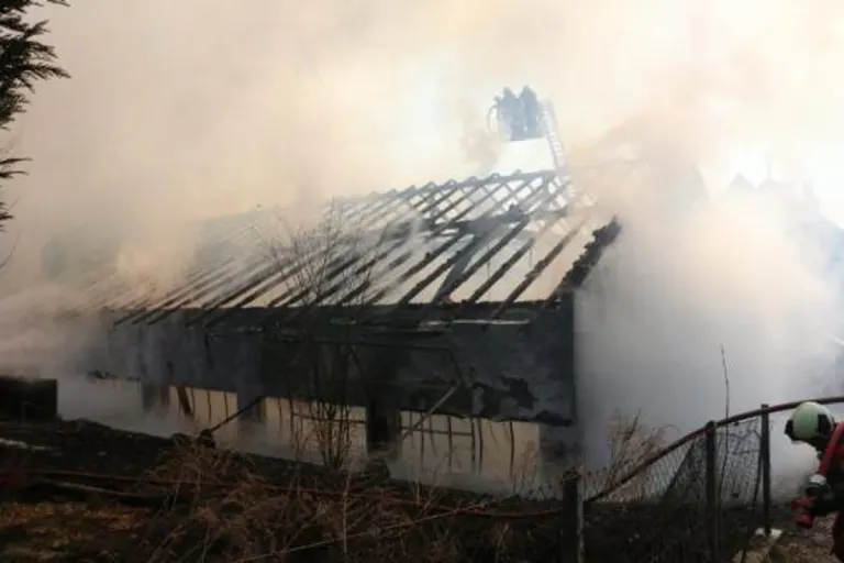 Oberstammheim ZH - Brand in Lagerhalle