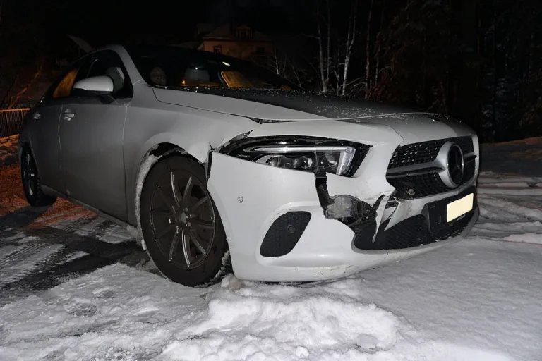 Kanton Appenzell Ausserrhoden - Mehrere Unfälle in einer Nacht 