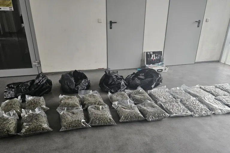Wien - 23 Kilogramm Cannabiskraut während Grenzkontrolle gefunden