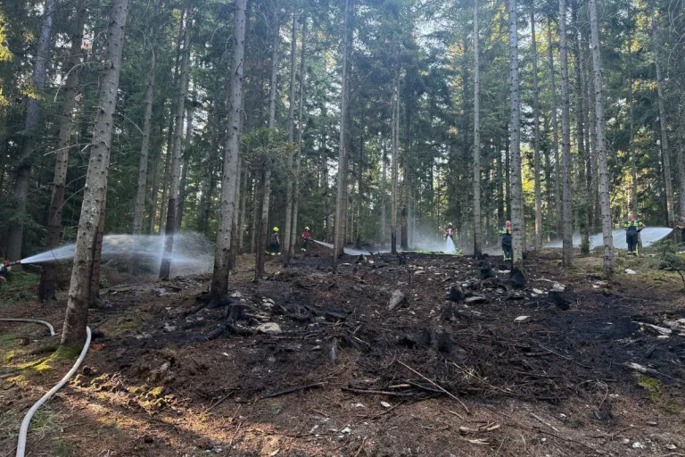 Pöllau – Fast 200 Feuerwehrkräfte bei Waldbrand im Einsatz