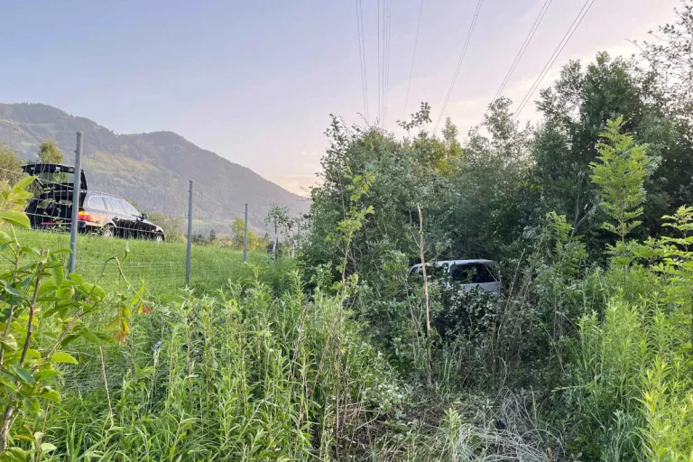 A13 Sennwald SG – Zwei Kinder verletzt nach Unfall wegen Sekundenschlaf