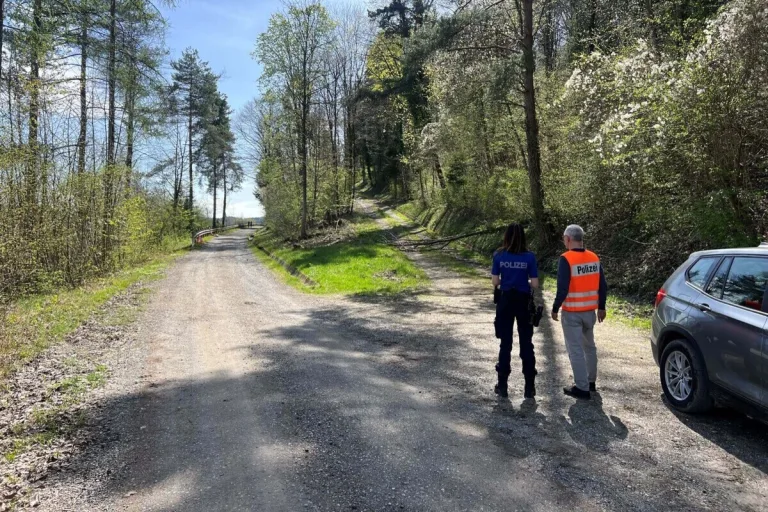 Winterthur ZH - Grössere Menge Öl im Wald