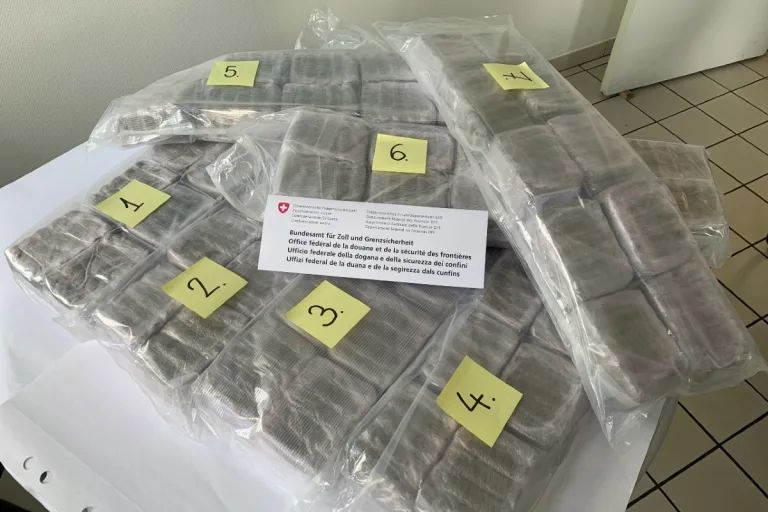 Kontrolle  Basel/St. Louis-Autobahn - LKW-Aussenfach enthielt 35 Kilogramm Haschisch
