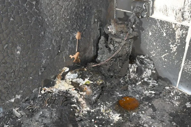 Birr AG - Zwei Katzen bei Wohnungsbrand umgekommen