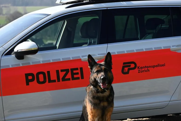 Höri ZH - Mann nach Streit schwer verletzt