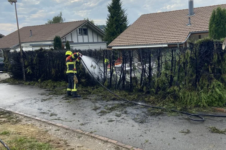 Mägenwil AG - Hecke in Brand gesetzt 