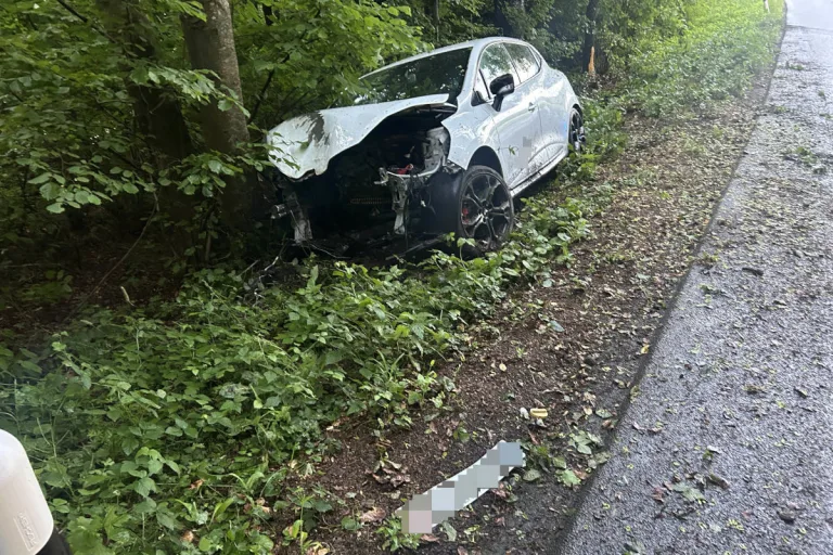 Unfall in Zetzwil AG – Lenker prallt gegen Baum