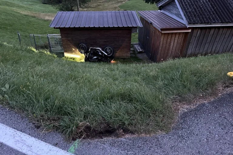 Schwellbrunn AR - Hund verstirbt nach Kollision mit Motorrad