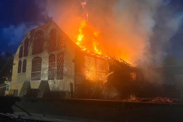 Ritzendorf – 110 Rinder bei Brand gerettet