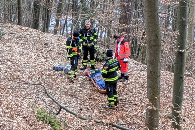 München – Frau nach Sturz im Wald gerettet
