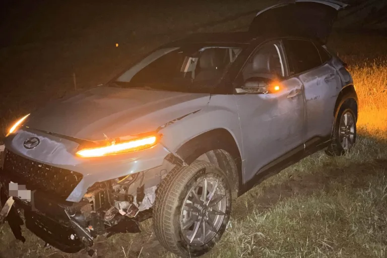 Zetzwil AG – Auto landet nach Sekundenschlaf auf Wiese