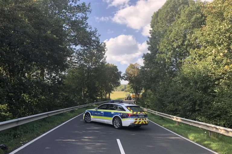 Rommersheim, L 5 - Motorradfahrer am Unfallort verstorben 