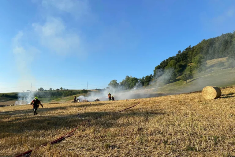 Laufenburg AG – Grossflächiger Brand eines Feldes