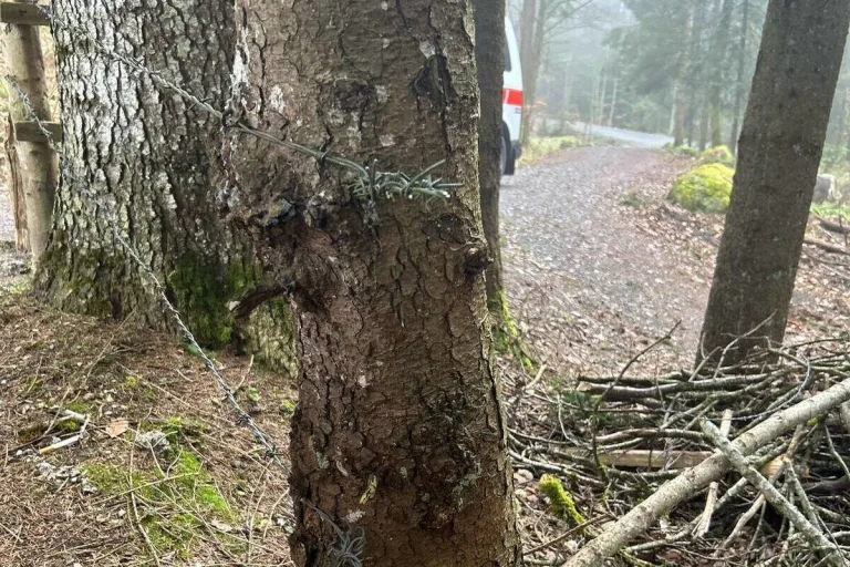 Kanton Schwyz - Mehrere Weidezäune beschädigt - Zeugen gesucht