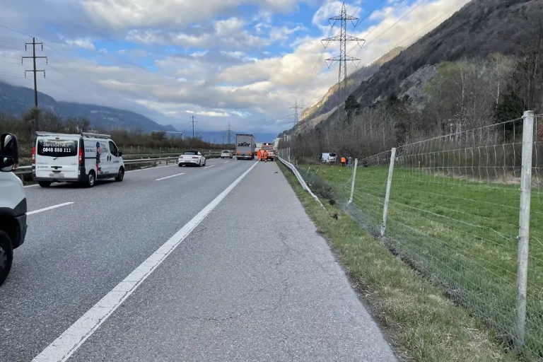 Verkehrsunfall in Chur GR - Lieferwagen kommt im Gebüsch zum Stillstand
