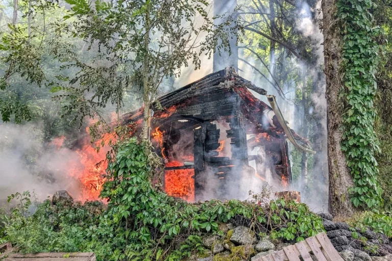 Dölsach T – Bienenstock in Brand