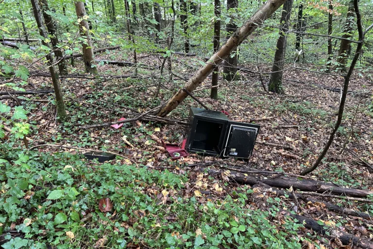 Rheinfelden AG – Spaziergängerin findet Tresor in Wald