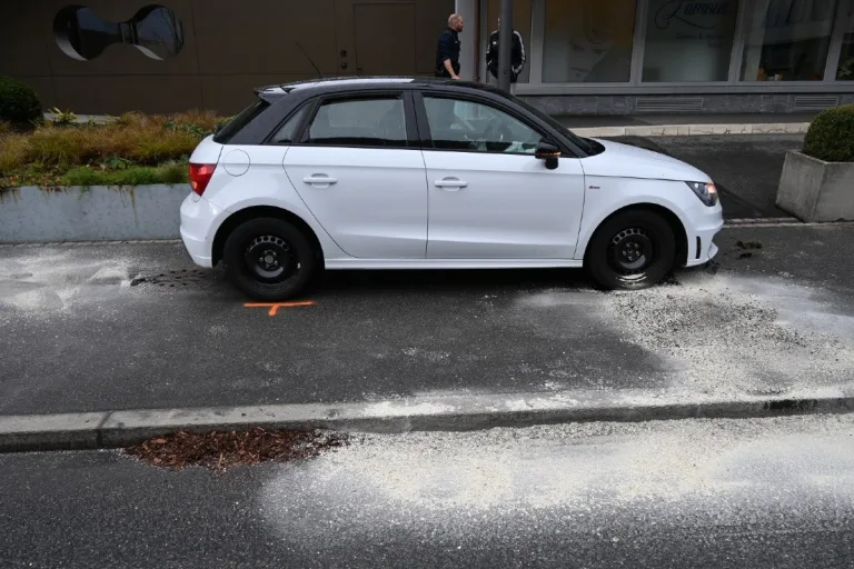 Vaduz FL - Lenkerin gerät in nicht fahrfähigem Zustand auf Gegenfahrbahn