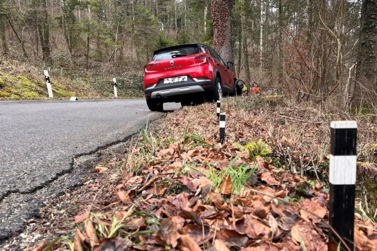 Sünikon ZH – Autofahrerin (78) prallt gegen Baum