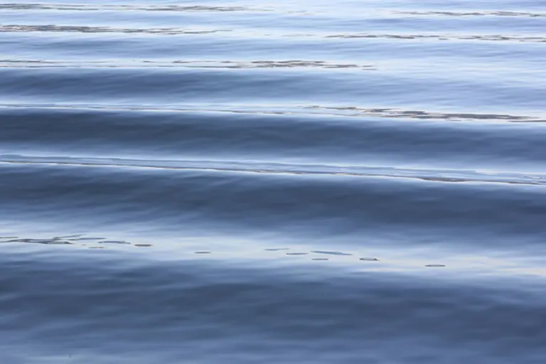 Bezirk Gmunden - Betrunkenen aus dem Traunsee gerettet