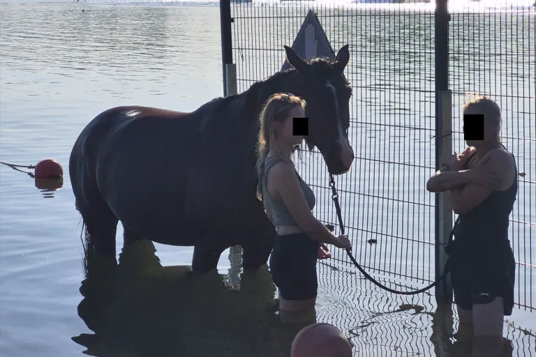 Düren – Pferd schwimmt alleine durch Badesee