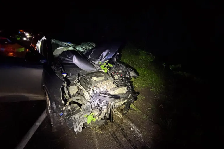 Unfall in Bremgarten AG – Alkoholfahrt endet mit Totalschaden