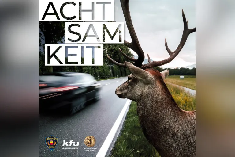 Gamprin – Unfallstelle pflichtwidrig verlassen – Wildunfälle sofort melden
