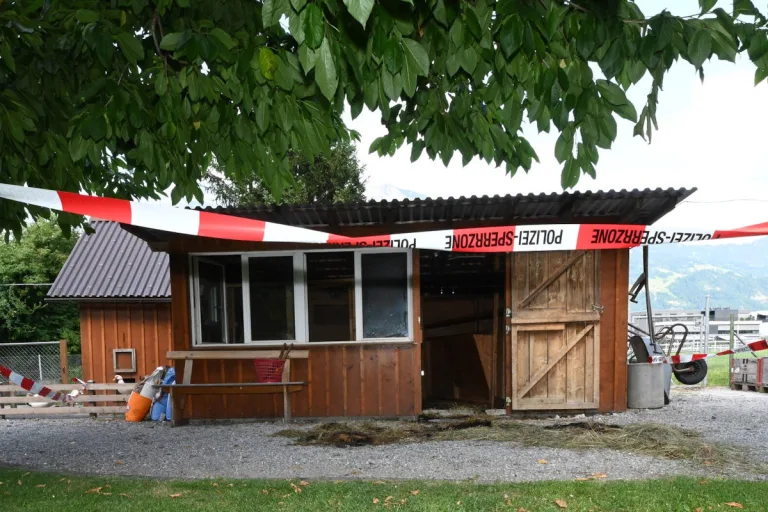 Buchs SG – Hasen, Ziegen und Ente bei Brand gerettet