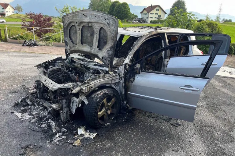 Gommiswald SG - Auto in Brand geraten