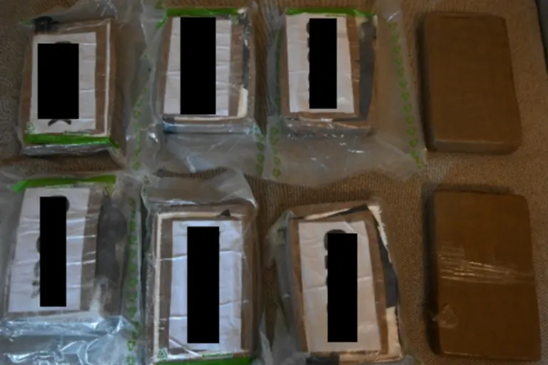 Wien – Reinigungskraft findet neun Kilo Kokain in Sofa