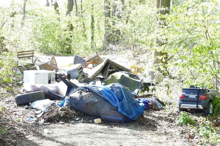 Geislingen – Große Menge Müll im Wald entsorgt