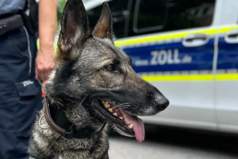 Bad Reichenhall BY – Zoll versteigert Wertgegenstände beim Stadtfest