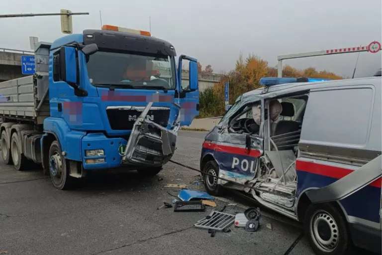 Treffen K – Diensthund und Polizistin bei Unfall verletzt