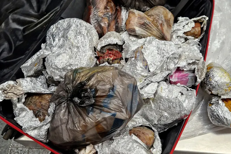 Hannover NI - 40 kg Fleisch- und Fischprodukte in zwei Koffern