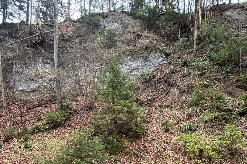 Dussnang TG - Wanderer stürzt rund 20 Meter einen Abhang hinunter