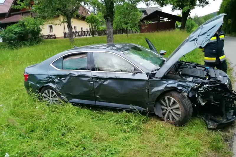Keutschach – Kontrolle verloren und in Hecke gekracht