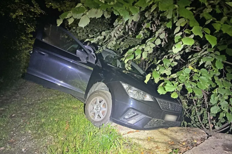 Steinebrunn TG – Nach Unfall im Auto eingeschlafen 