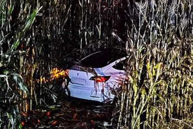 Spektakulärer Unfall in Kirchbichl - Tesla landet in Maisfeld