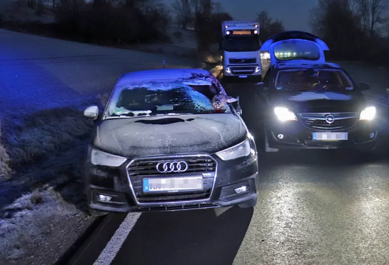 Höxter – Reh landet in der Windschutzscheibe – Polizei warnt vor Wildunfällen