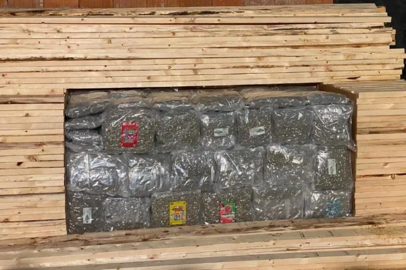 Berlin – Mitglieder einer Rauschgiftbande verhaftet - Mehr als eine Tonne Marihuana sichergestellt