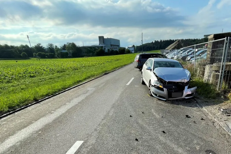 Hefenhofen TG - Unfallverursacherin verletzt sich schwer