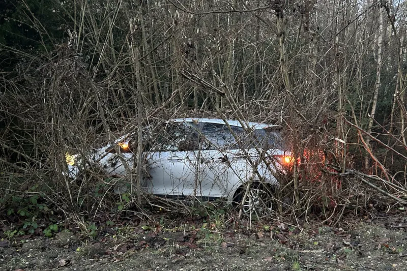Oberhofen TG – Sekundenschlaf führt zu Unfall im Wald