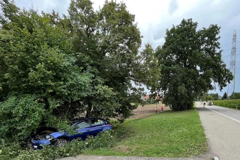 Egg ZH – Unfall mit Personenwagen verursacht grossen Sachschaden